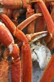 Close-up of snow crab clusters on ice thumbnail