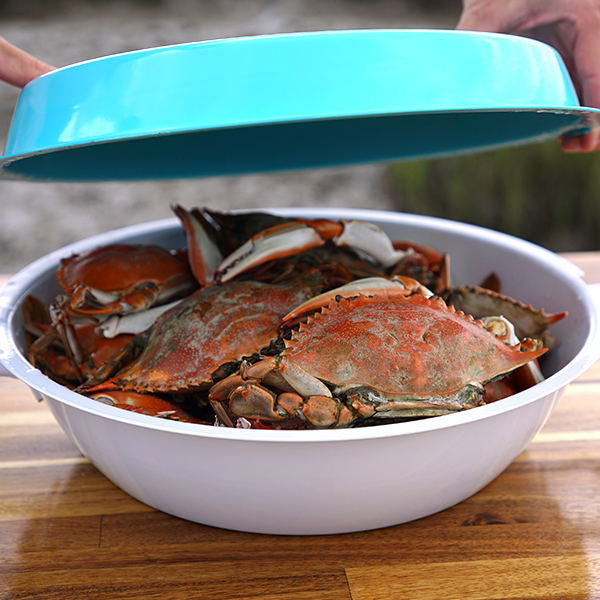 toadfish brand bowl