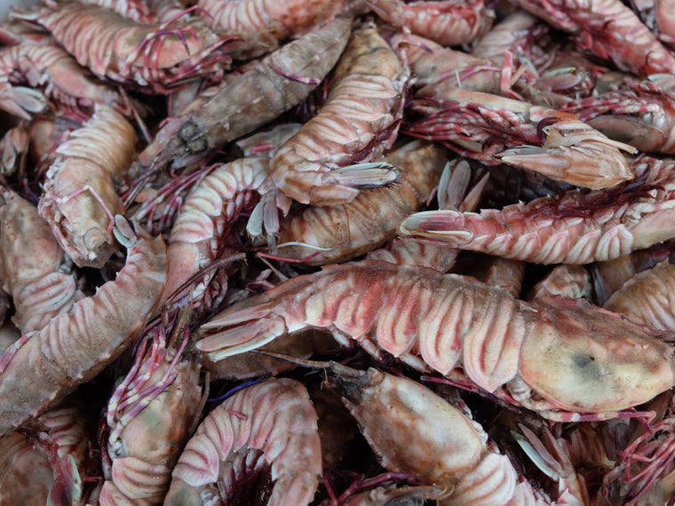 Whole Rock shrimp laying on top of each other.