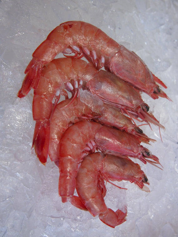 Five Whole Royal Red Shrimp on Ice 