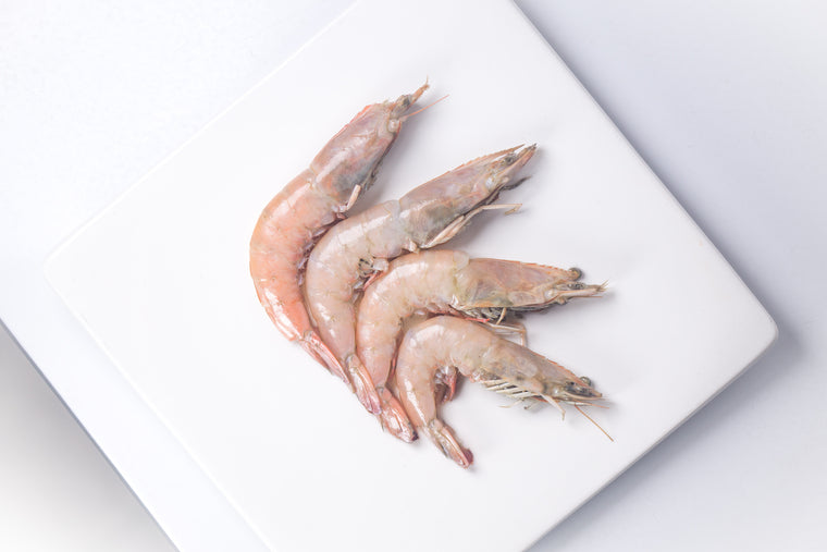 Four whole brown shrimp on top of plate