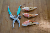 Crab cutter and cut crab claws thumbnail