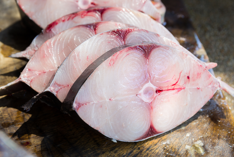 King mackerel fish steaks displayed on a surface.
