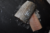 A mullet fillet on ice, displaying its scales and flesh. thumbnail