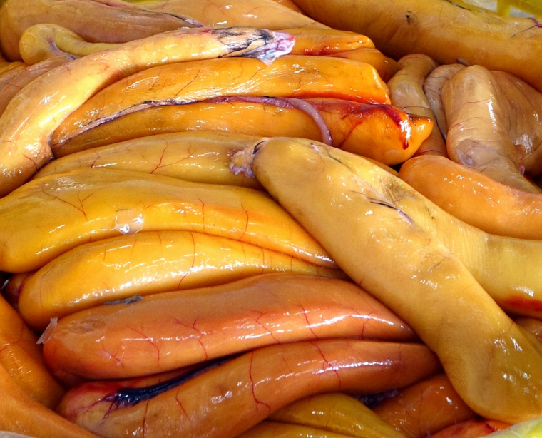 A close-up of fresh mullet roe, showing the egg sacks in detail.
