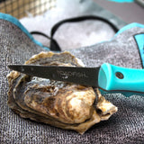 Oyster knife laying on top of whole oyster thumbnail