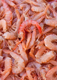 Pile of headless royal red shrimp thumbnail