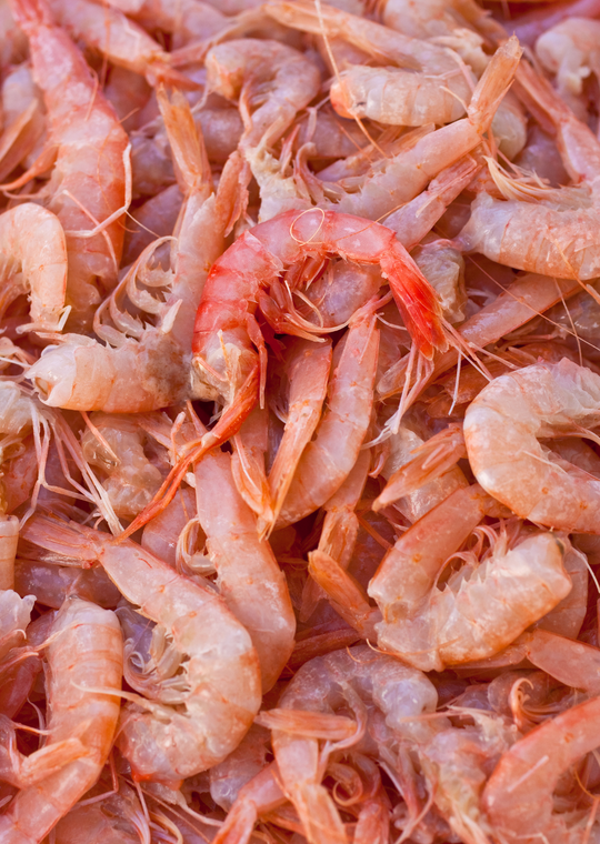 Pile of headless royal red shrimp