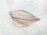 Pompano Fillet thumbnail