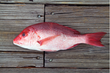Whole Red snapper on top of deck thumbnail