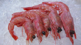 Whole Royal Red Shrimp on Ice thumbnail