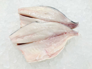 Two Pompano Fillet on ice 