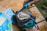 Hands shucking an oyster with oyster knife and oyster shucking cloth thumbnail