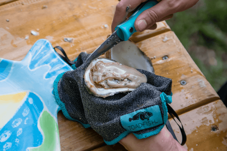 Hands shucking an oyster with oyster knife and oyster shucking cloth